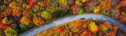 Car driving through autumn forrest