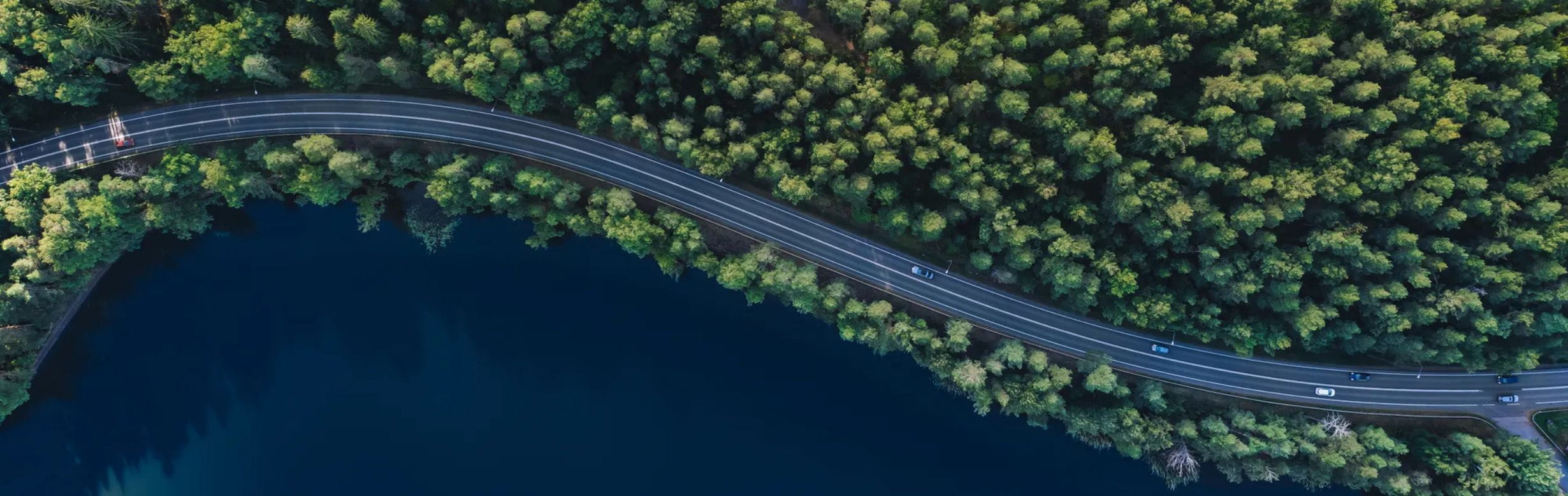 Forrest road